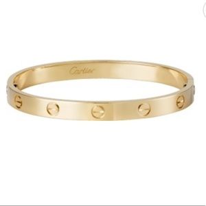 Cartier love bracelet